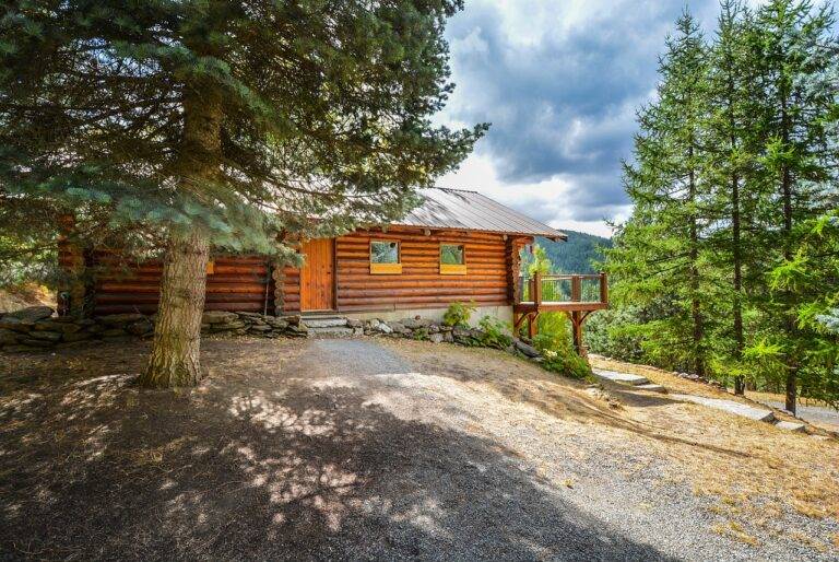 Designing a Pet-Friendly Home That’s Stylish and Functional