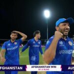 Lotus365 Vip, Lotus365 Vip