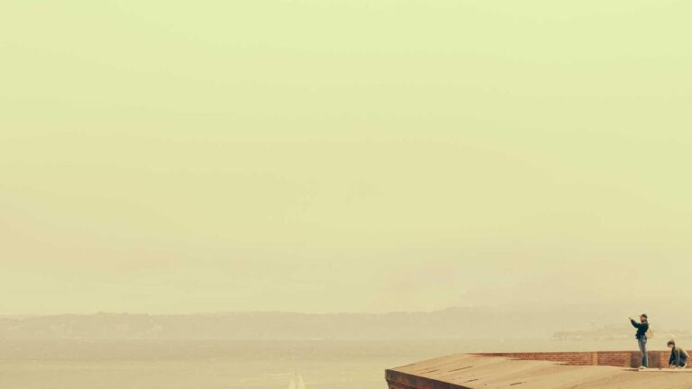 How To Request A 99Exch Com Login Password Reset?